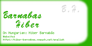 barnabas hiber business card